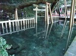 鹿島神宮　御手洗池　Kashima-jinguu   Mitarai pond
